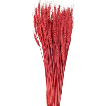 umělá květina Sušené květy pšeničná tráva červená 80 cm (200 g) – 80 cm