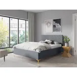 Eka Čalouněná postel AFRODITE+ 120x200 cm Barva látky Trinity: (2314) Šedá, Úložný prostor: S kovovým rámem úložného prostoru