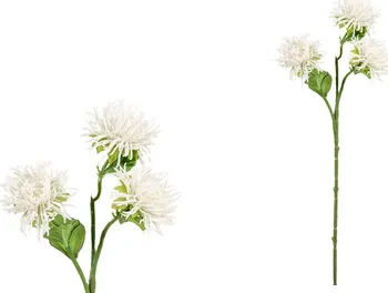 Umělá květina Autronic Chryzantéma KUC2552 60 cm bílá