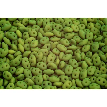 Korálek Matubo™ Superduo č. 650