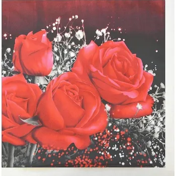 Povlak na dekorativní polštářek 3D povláček na polštářek APEX - Romance - Povláček na polštářek