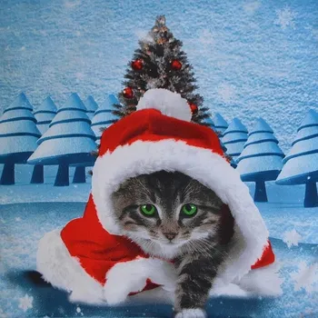 Dekorativní polštářek 3D povláček na polštářek APEX - Vánoční kočka - Povláček na polštářek