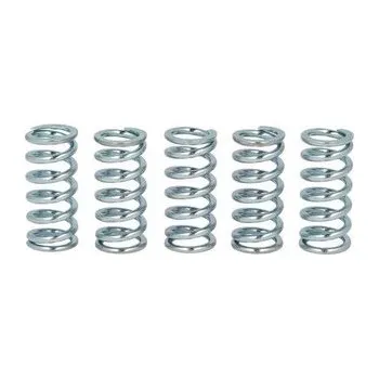 Spojkové pružiny TRW KTM EXC 400 93-95