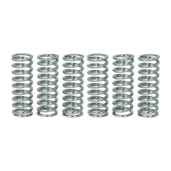 Spojkové pružiny TRW Suzuki VLR 1800 C Intruder 08-13