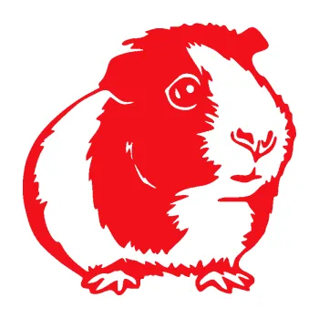 Samolepící dekorace SAMOLEPKA Morče 003 pravá (10 - červená) NA AUTO, NÁLEPKA, FÓLIE, POLEP, TUNING, VLASTNÍ TEXT, TISK, AUTOSAMOLEPKY.cz, POLEPY, OBRÁZEK, LOGO, SAMOLEPKY