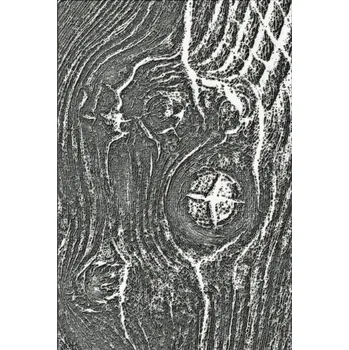 Sizzix Struktura dřeva - A6 embosovací kapsa 3D