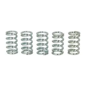 Spojkové pružiny TRW Kawasaki W 650 99-05