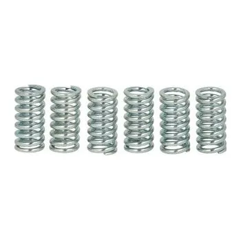 Spojkové pružiny TRW Suzuki DR-Z 125 03-20