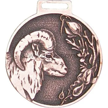 Medaile podle hodnocení CIC muflon č.847 - bronzová medaile muflon