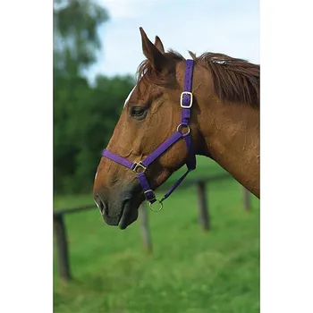 Stájová ohlávka Norton fialová vel. full