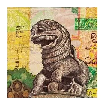 Zahraniční hudba LP Grails: The Burden Of Hope CLR | LTD 2023 Coloured Coke Bottle Clear Vinyl Limited Edition Beer Colour