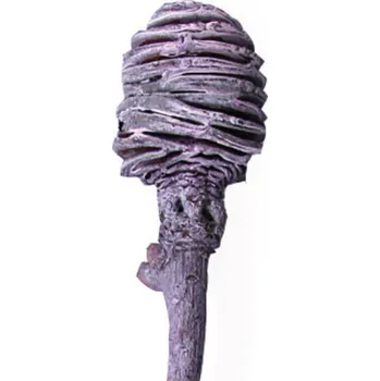 Sušené květiny Platyspernum frosted color o/s broomber, 10 ks, fialové