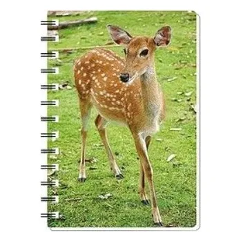 E-myslivost Dětský 3D zápisník pro malé myslivce - LAŇ