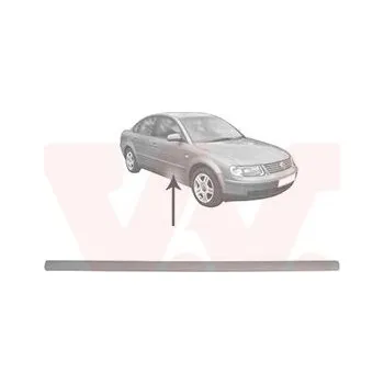 Lišta karosérie Ozdobná / ochranná lišta, dveře VAN WEZEL 5836404
