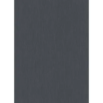 Tapeta DIMEX | Vliesová tapeta na zeď WPE-901117 | 0,53 x 10,05 m | černá + Černá vliesová tapeta na stěnu WPE901117 v rozměru 0,53 x 10,05 m