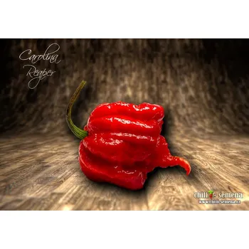 Semeno chilli-semena chilli paprička Carolina Reaper HP22B 10 ks