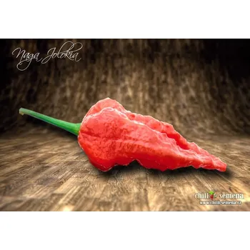 Semeno chilli-semena chilli Naga Jolokia 10 ks