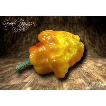 Semeno chilli-semena Squash Jamaican Yellow