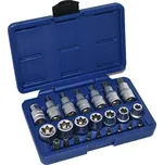 ASTA Torx A-TXSET23