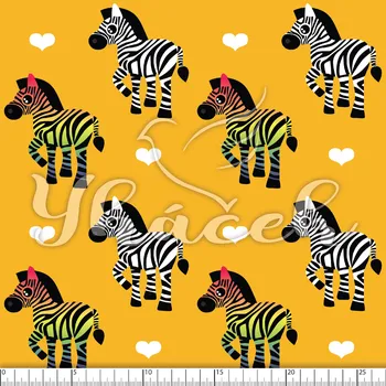 Softshell jarní, 20/9, Zebry na žluté