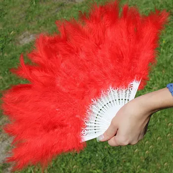 Karnevalový kostým Lencera Péřový vějíř