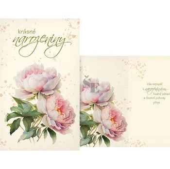 Blahopřání srdečné M11-549 H s textem