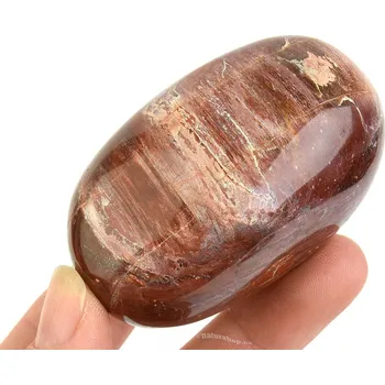 Přírodní kámen Hladký kámen zkamenělé dřevo (Madagaskar) 147g