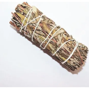 ČERNÁ ŠALVĚJ - svazek malý