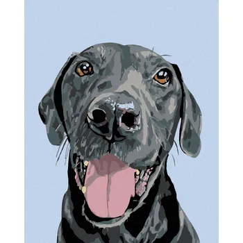 Dětské zboží Diamondi Diamantové malování - ČERNÝ KRASAVEC Rozměr: 40x50 cm, Rámování: vypnuté plátno na rám