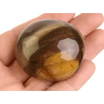 Přírodní kámen Hladký kámen zkamenělé dřevo (Madagaskar) 73g