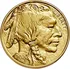 U.S. Mint American Buffalo 1 oz 2023 zlatá mince 31,1 g