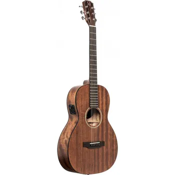 Elektroakustická kytara James Neligan DOV-PFI, elektroakustická kytara