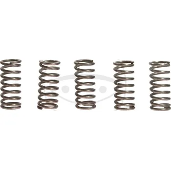 Sada spojkových pružin SUZUKI GZ 250 Marauder rok 99-08