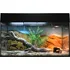 Terárium Lucky Reptile Starter Kit Bearded Dragon bílé 80 x 40 x 52 cm