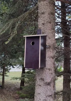 Hnízdní budka Hnízdící budka pro ptáky HB2 březové dřevo 15,5 x 32 x 14 cm