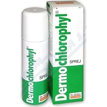 Lék na kožní problémy, vlasy a nehty Dermochlorophyl sprej 50ml Dr.Müller