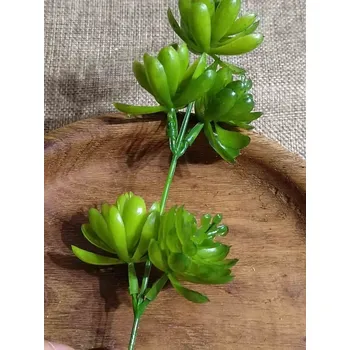 umělá květina Umělý sukulent zelená