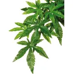 Exo Terra Abuliton střední 55 cm