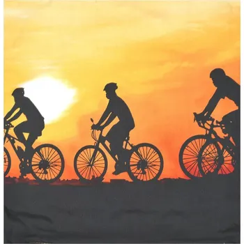 Povlak na polštářek Apex® produktová řada 3D 3D povláček na polštářek Apex - Cyklo - Povláček na polštářek