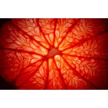 Plakát Plakát, Obraz - Grapefruit cure closeup, Stefan Cristian Cioata