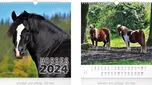 MFP Malý nástěnný kalendář Horses 2024