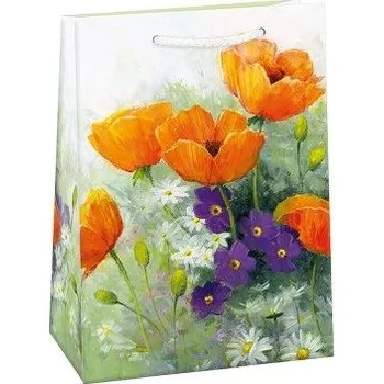 Dárková taška ARGUS Dárková papírová taška T5 (23 x 32 cm) 07570747