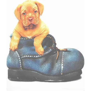 Povlak na polštářek Apex® produktová řada 3D 3D povláček na polštářek Apex - Pupy - Povláček na polštářek