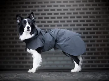 Obleček pro psa Paikka Reflexní pláštěnka 30 cm černá