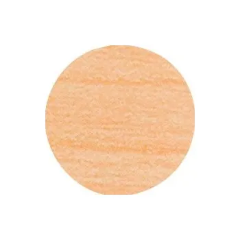 Vrut Krytka samolepicí 20mm 15ks - bříza 260