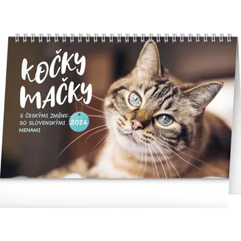 Kalendář Stolní kalendář Kočky - Mačky CZ/SK 2024, 23,1 x 14,5 cm