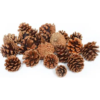 Vánoce Šišky borovice, cca 21 ks, 2 - 4 cm