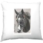 Polštář saténový s potiskem polštář Black Canyon