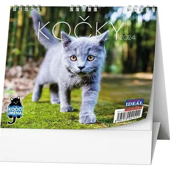Kalendář Stolní kalendář - IDEÁL - Kočky /s kočičími jmény/