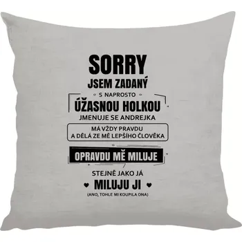 Polštář Polštář lněný 40x40 cm Sorry, jsem zadaný